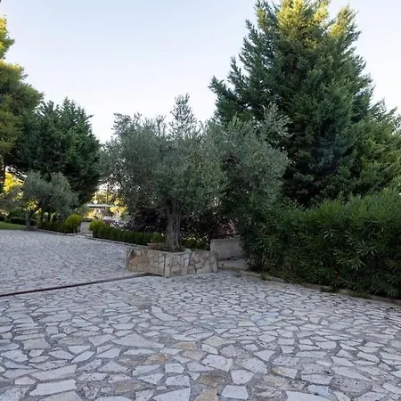 Sani Pinecone 3 * Sani (Chalkidiki)